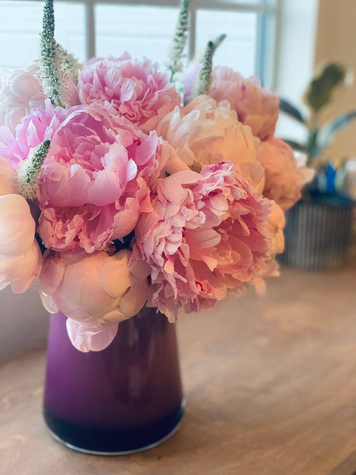 Weekly Blooms