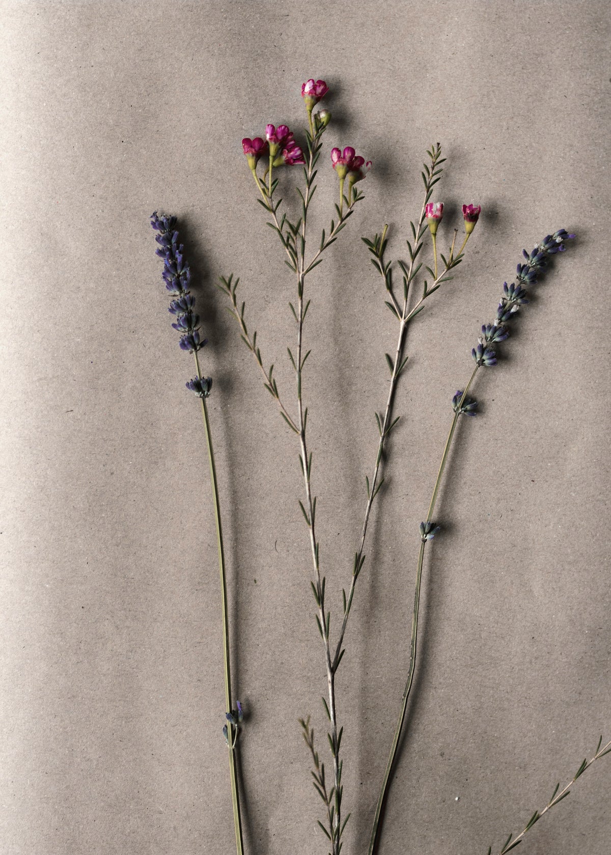 Paper/card making workshop